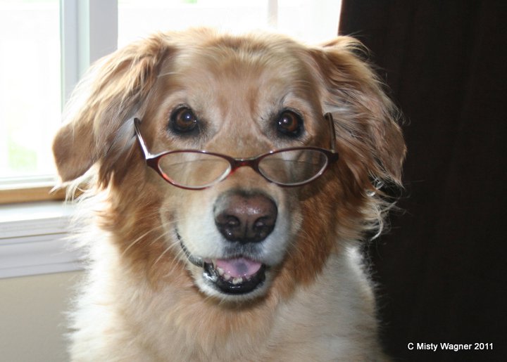 250367_10150202049386277_5410559_n