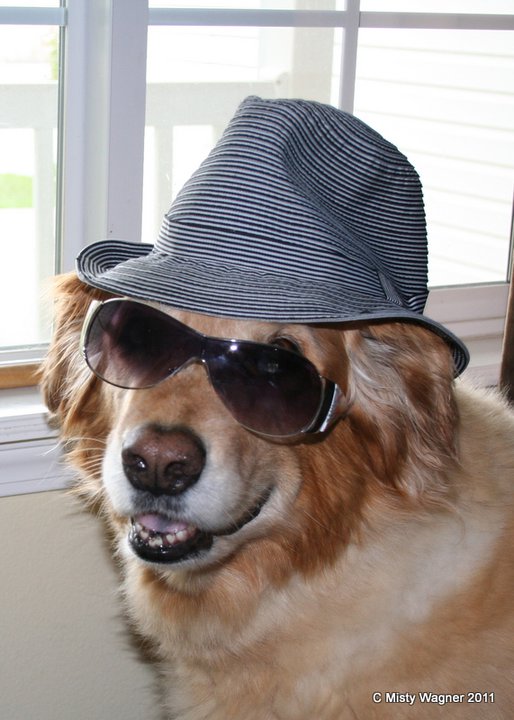 251415_10150202049326277_874492_n