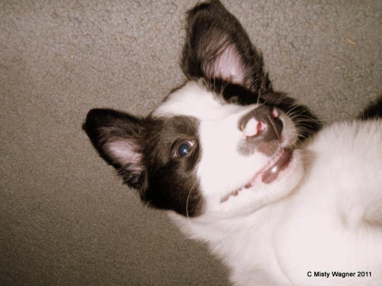 386401_10150361005981277_1437126577_n